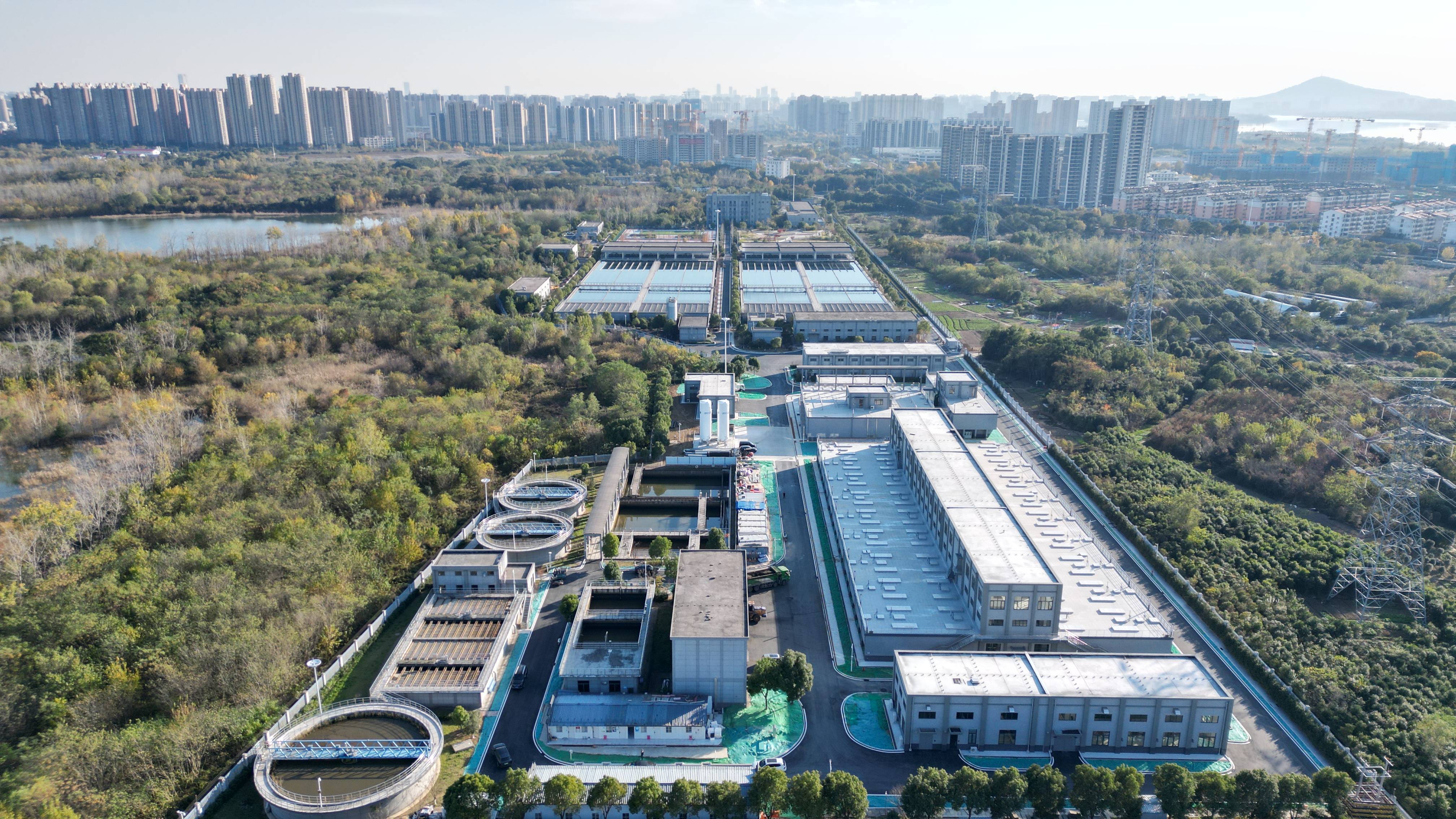 衡阳市合肥专业企业价值增长(合肥市重点企业产业目录)