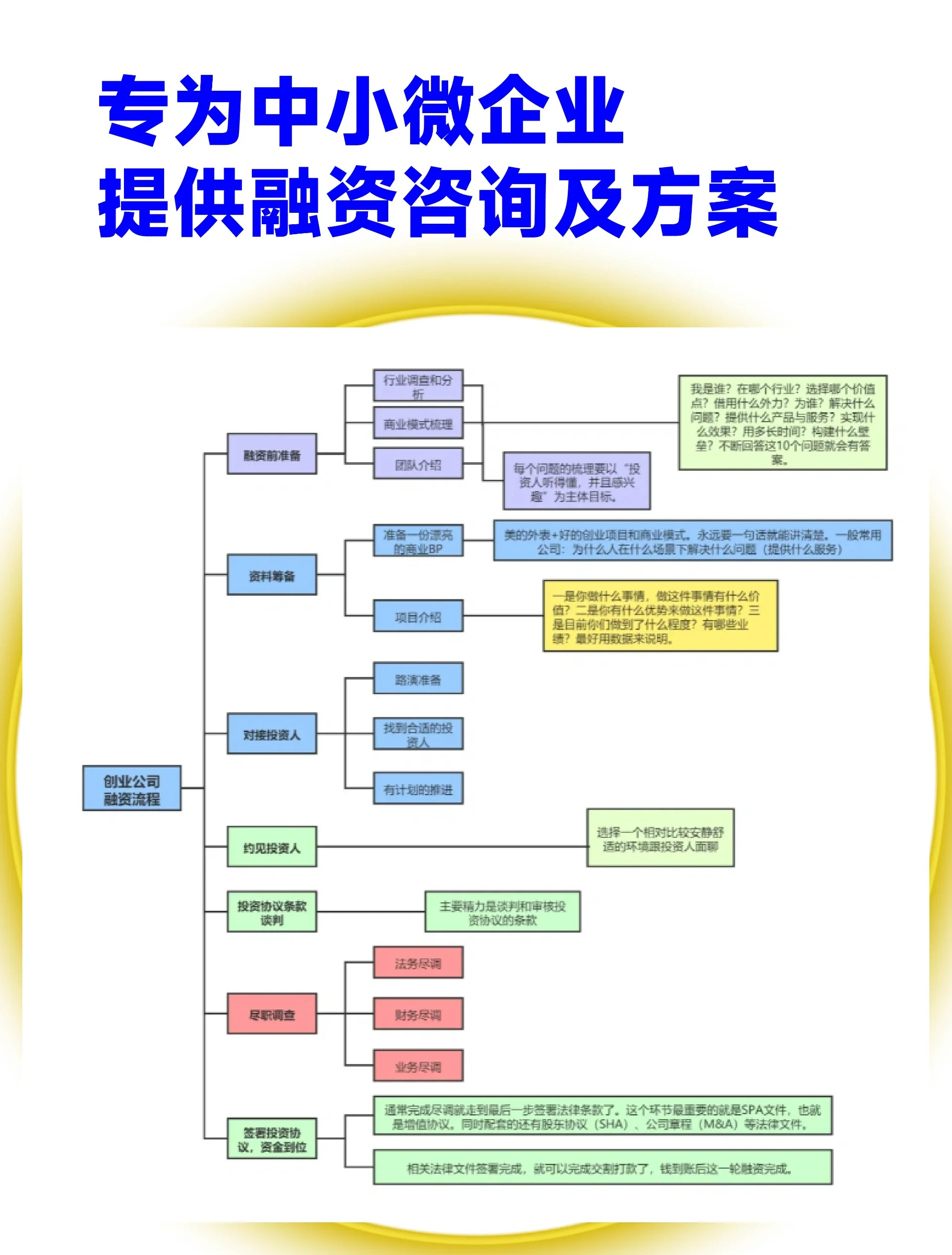 衡阳市宠物企业资金管理(宠物管理机构叫什么)