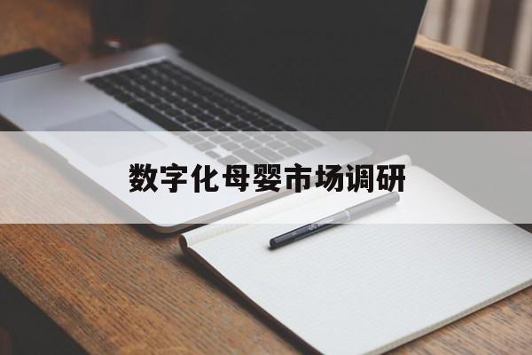 衡阳市数字化母婴市场调研(数字化母婴市场调研报告)